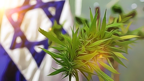 semena marihuany, výzkum konopí, terpeny, izrael, studie marhuany, léčivé účinky konopí